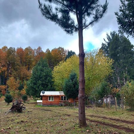 Cabana May Pao, Para 3 En Melipeuco Cerca Del Parque Nacional Conguillio Dış mekan fotoğraf