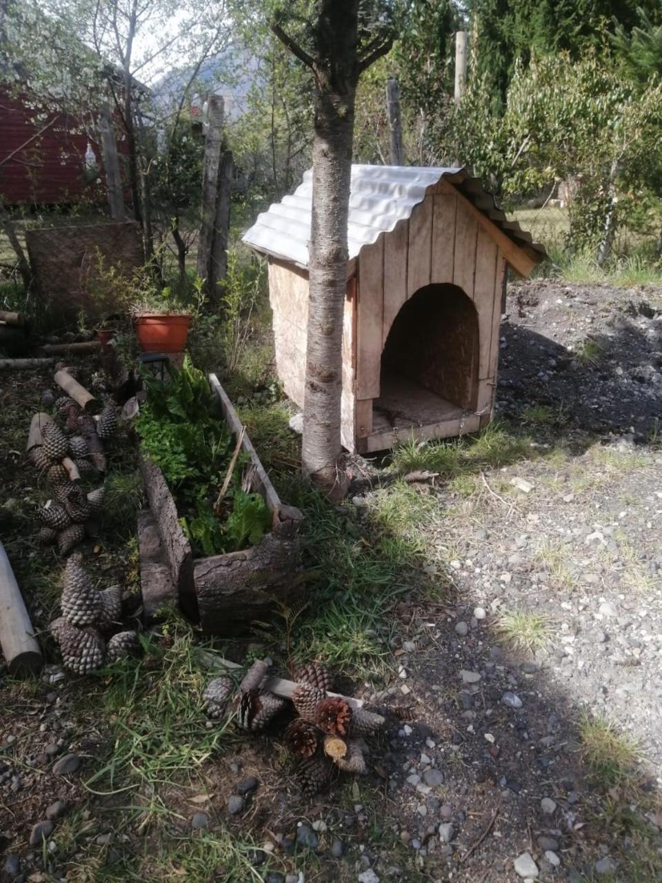 Cabana May Pao, Para 3 En Melipeuco Cerca Del Parque Nacional Conguillio Dış mekan fotoğraf