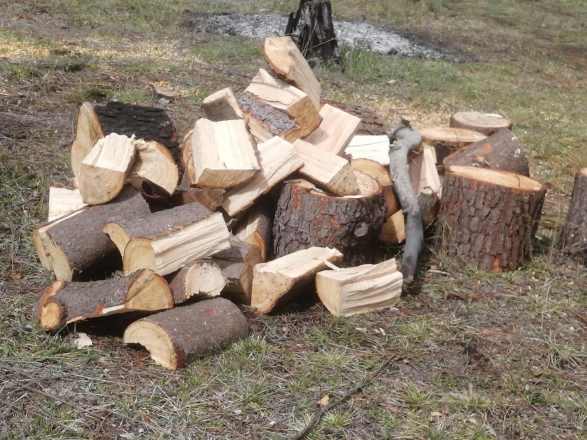 Cabana May Pao, Para 3 En Melipeuco Cerca Del Parque Nacional Conguillio Dış mekan fotoğraf