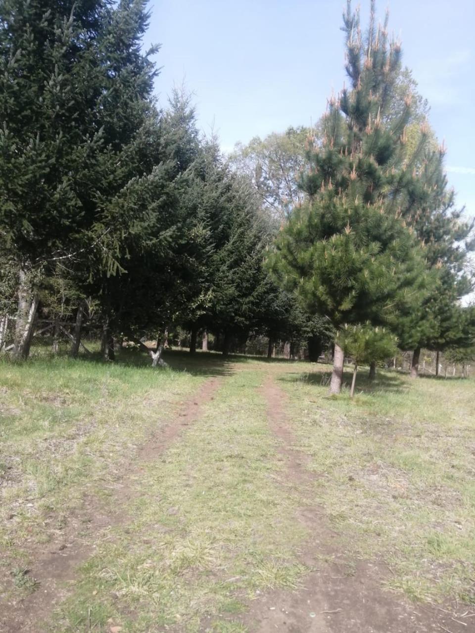 Cabana May Pao, Para 3 En Melipeuco Cerca Del Parque Nacional Conguillio Dış mekan fotoğraf