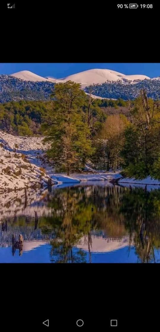 Cabana May Pao, Para 3 En Melipeuco Cerca Del Parque Nacional Conguillio Dış mekan fotoğraf