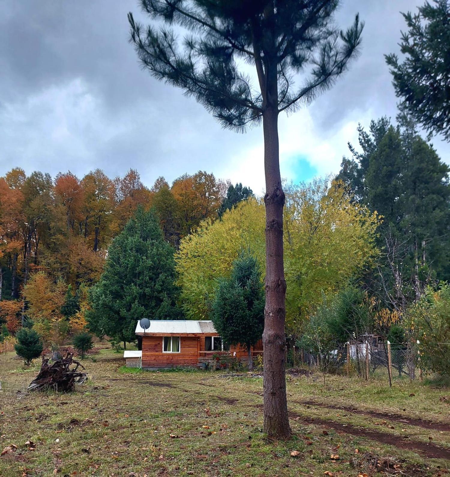 Cabana May Pao, Para 3 En Melipeuco Cerca Del Parque Nacional Conguillio Dış mekan fotoğraf